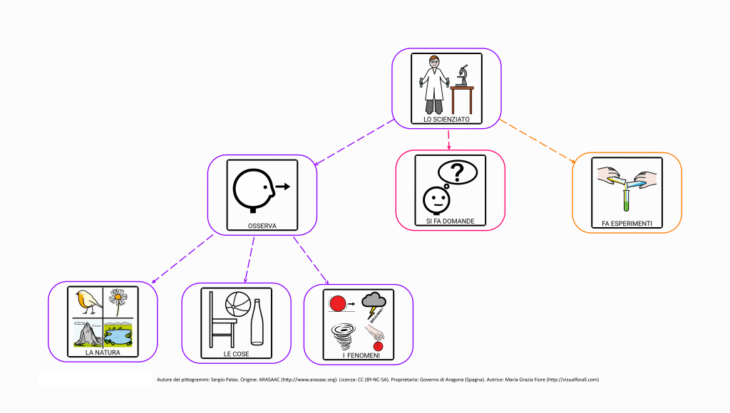 Contenuti mappa. Lo scienziato: osserva la natura, le cose, le persone; si fa domande; fa esperimenti.