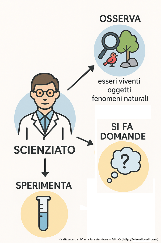 Contenuti mappa. Lo scienziato: osserva esseri viventi, oggetti, fenomeni naturali; si fa domande; fa esperimenti.