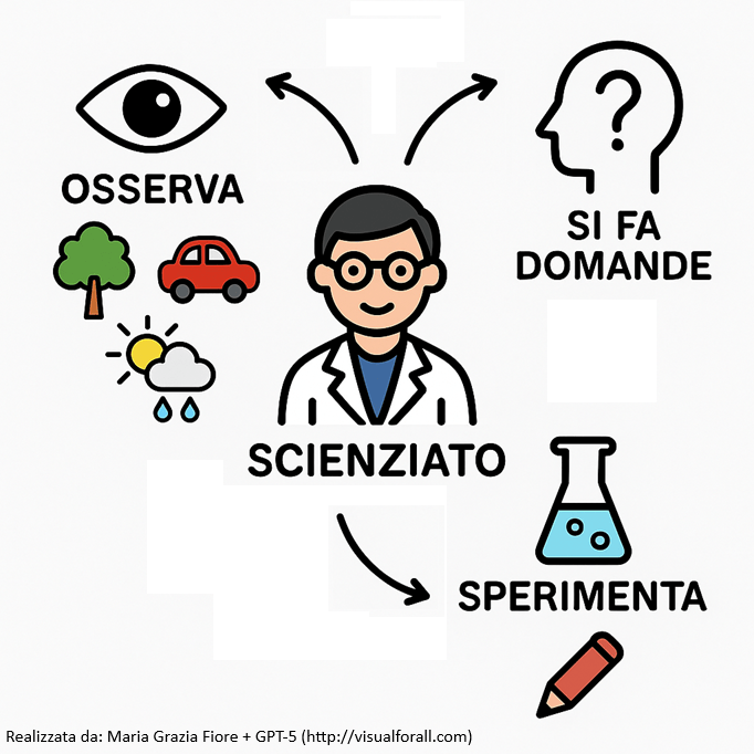 Contenuti mappa. Lo scienziato: osserva; si fa domande; fa esperimenti.